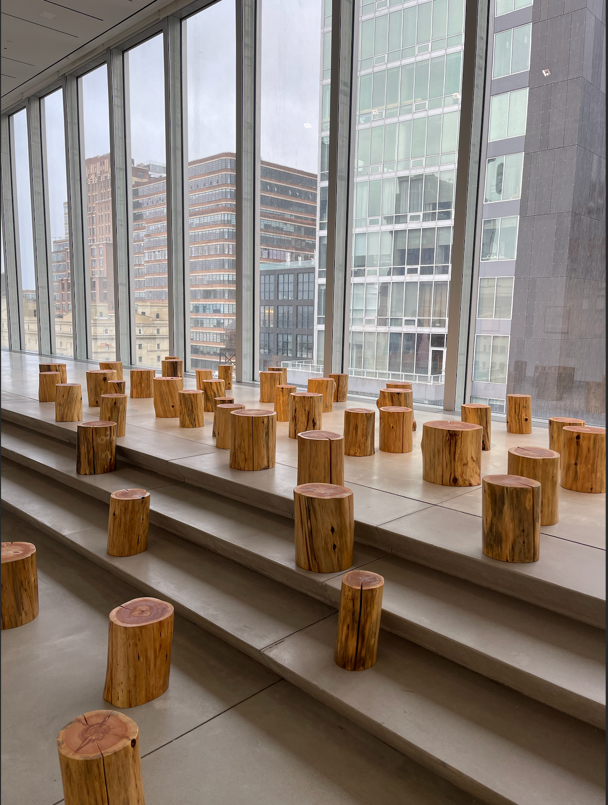 Who is MAYA LIN: the Utility of Useful Art and Activism